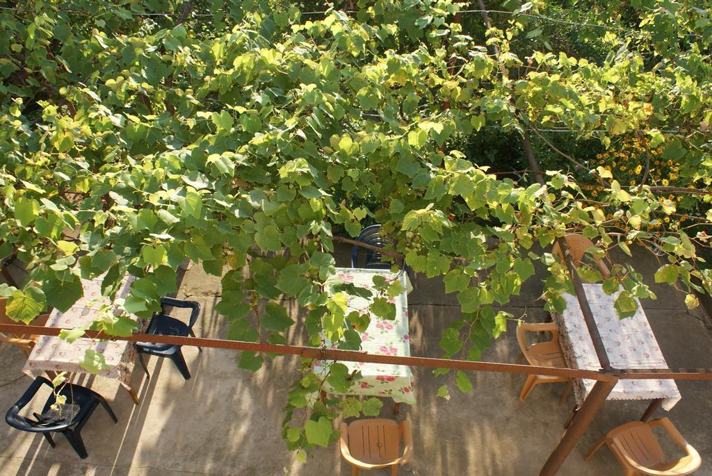 Merabi And Neli Guest House Махинджаури Номер фото